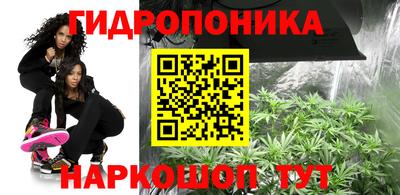 apvp Кунгур