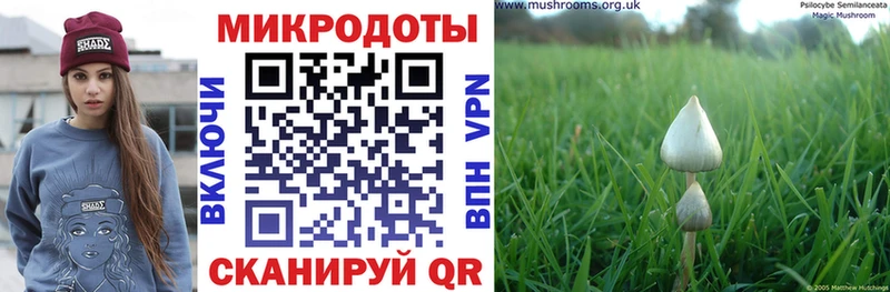 Галлюциногенные грибы мухоморы  Камышин 