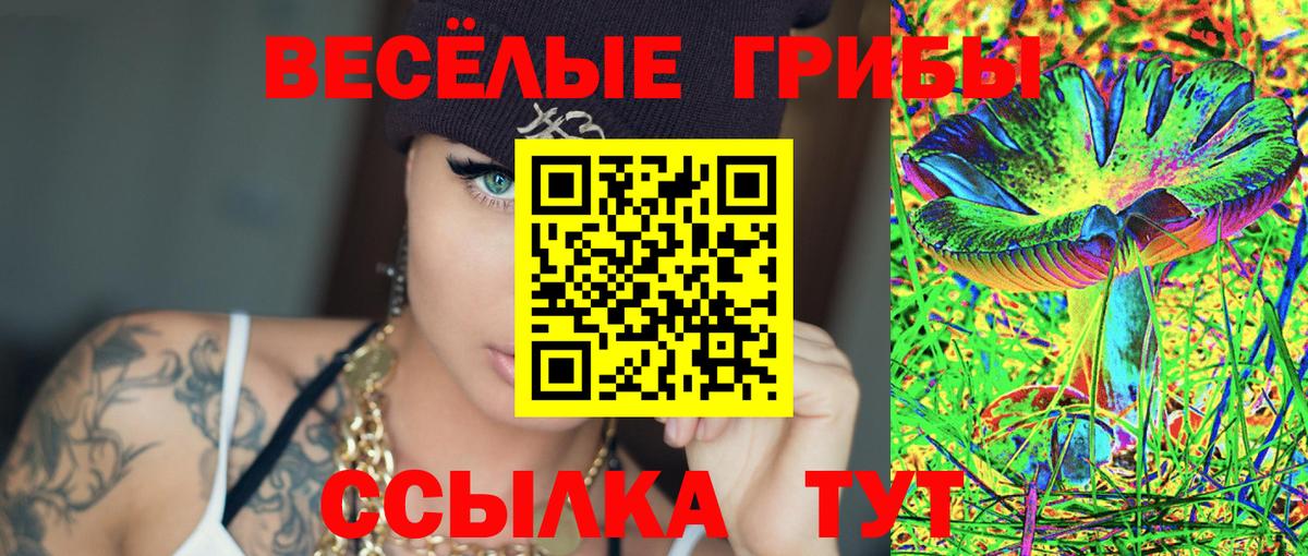 Камышин  Псилоцибиновые грибы MAGIC MUSHROOMS  Вход с VPN 